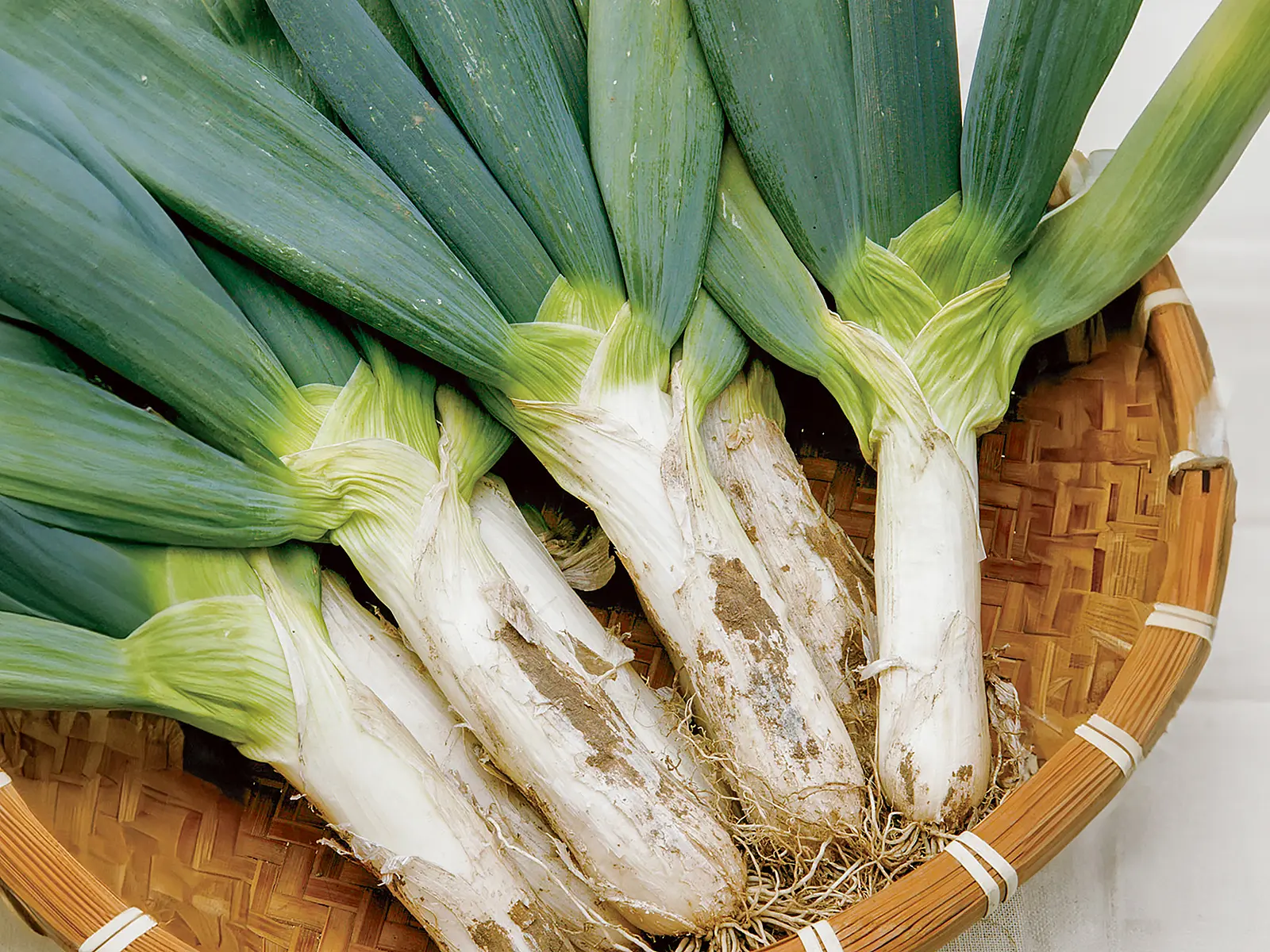 群馬県下仁田町